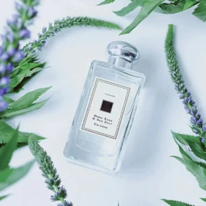 Jo Malone Wood Sage Cologne Fresh Elegance