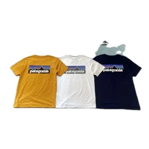 Patagonia P-6 Logo T-Shirt Classic Design